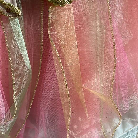 Fairy Dust Costume - Picture 13 of 15